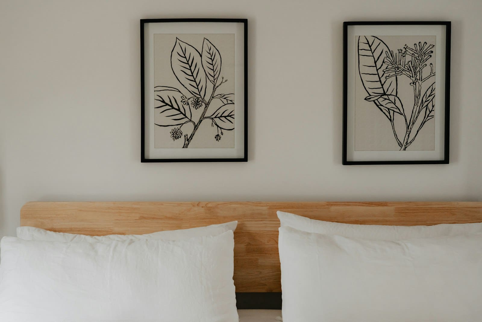 Zwei botanische Strichzeichnungs-Poster in schwarzen Rahmen über einem hölzernen Bettkopfteil