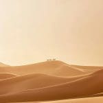 Whispers of the Dunes