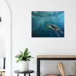 Ray of the Deep MC 2